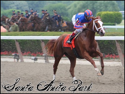 //santa-anita.gportal.hu/portal/santa-anita/image/gallery/1245617687_03.jpg