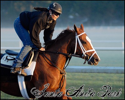 //santa-anita.gportal.hu/portal/santa-anita/image/gallery/1245617709_30.jpg