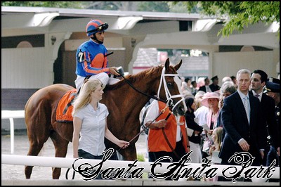 //santa-anita.gportal.hu/portal/santa-anita/image/gallery/1245617730_73.jpg