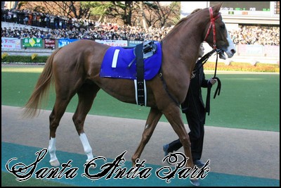 //santa-anita.gportal.hu/portal/santa-anita/image/gallery/1245622016_62.jpg