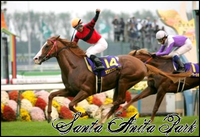 //santa-anita.gportal.hu/portal/santa-anita/image/gallery/1245622053_51.jpg