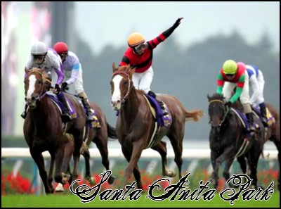 //santa-anita.gportal.hu/portal/santa-anita/image/gallery/1245622060_47.jpg