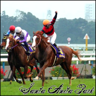 //santa-anita.gportal.hu/portal/santa-anita/image/gallery/1245622064_72.jpg