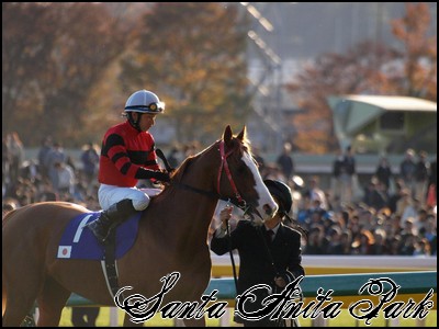 //santa-anita.gportal.hu/portal/santa-anita/image/gallery/1245622081_28.jpg