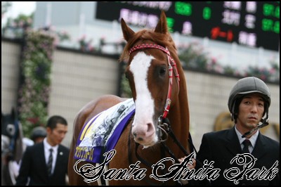 //santa-anita.gportal.hu/portal/santa-anita/image/gallery/1245622090_67.jpg