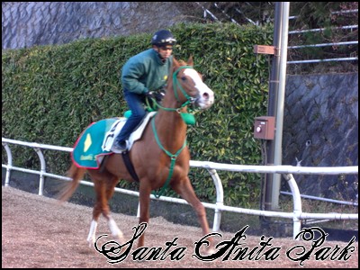 //santa-anita.gportal.hu/portal/santa-anita/image/gallery/1245622122_10.jpg