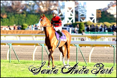 //santa-anita.gportal.hu/portal/santa-anita/image/gallery/1245622130_00.jpg