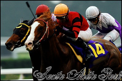 //santa-anita.gportal.hu/portal/santa-anita/image/gallery/1245622137_50.jpg