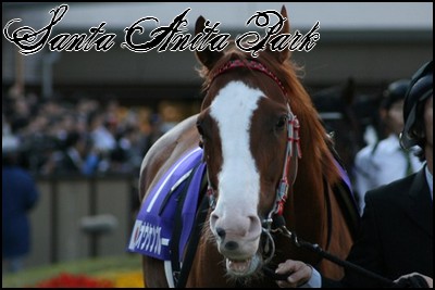 //santa-anita.gportal.hu/portal/santa-anita/image/gallery/1245622141_07.jpg