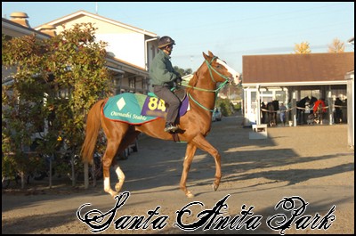 //santa-anita.gportal.hu/portal/santa-anita/image/gallery/1245622148_31.jpg