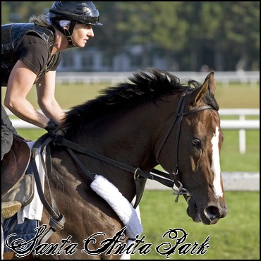 //santa-anita.gportal.hu/portal/santa-anita/image/gallery/1246041551_01.jpg