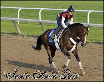 //santa-anita.gportal.hu/portal/santa-anita/image/gallery/1246041563_14.jpg