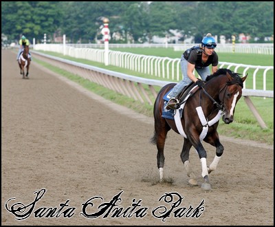 //santa-anita.gportal.hu/portal/santa-anita/image/gallery/1246041569_48.jpg