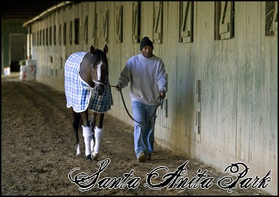 //santa-anita.gportal.hu/portal/santa-anita/image/gallery/1246041591_69.jpg