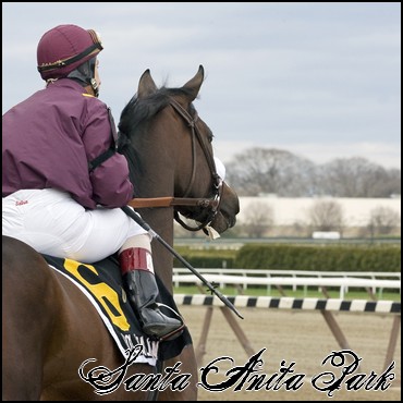 //santa-anita.gportal.hu/portal/santa-anita/image/gallery/1246041618_67.jpg