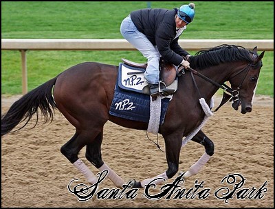 //santa-anita.gportal.hu/portal/santa-anita/image/gallery/1246041659_46.jpg