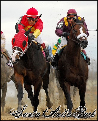 //santa-anita.gportal.hu/portal/santa-anita/image/gallery/1246041668_37.jpg