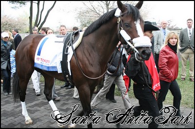 //santa-anita.gportal.hu/portal/santa-anita/image/gallery/1246041684_26.jpg