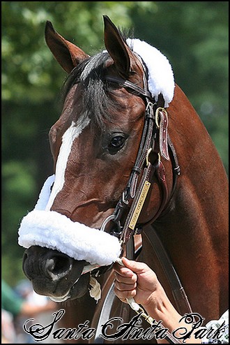 //santa-anita.gportal.hu/portal/santa-anita/image/gallery/1246041689_71.jpg