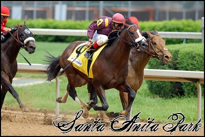 //santa-anita.gportal.hu/portal/santa-anita/image/gallery/1246041695_12.jpg