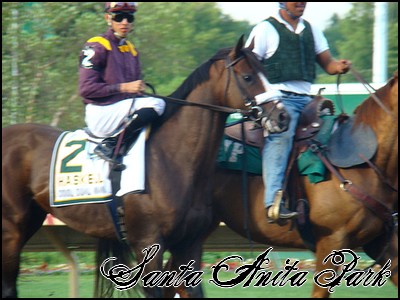 //santa-anita.gportal.hu/portal/santa-anita/image/gallery/1246041699_13.jpg