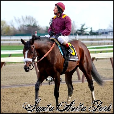 //santa-anita.gportal.hu/portal/santa-anita/image/gallery/1246041748_75.jpg