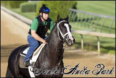 //santa-anita.gportal.hu/portal/santa-anita/image/gallery/1246901338_90.jpg