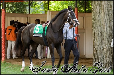 //santa-anita.gportal.hu/portal/santa-anita/image/gallery/1246901557_94.jpg