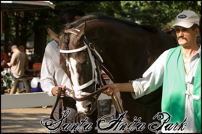 //santa-anita.gportal.hu/portal/santa-anita/image/gallery/1246901561_81.jpg