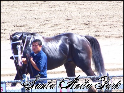 //santa-anita.gportal.hu/portal/santa-anita/image/gallery/1246901567_18.jpg