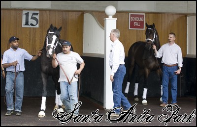 //santa-anita.gportal.hu/portal/santa-anita/image/gallery/1246901580_05.jpg