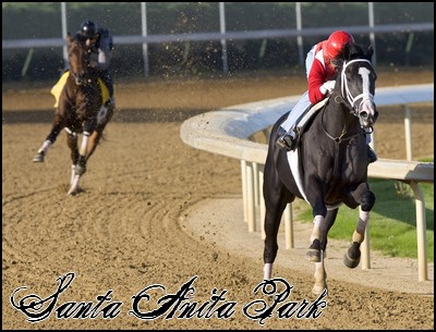 //santa-anita.gportal.hu/portal/santa-anita/image/gallery/1246901586_46.jpg