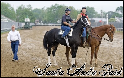 //santa-anita.gportal.hu/portal/santa-anita/image/gallery/1246901591_82.jpg