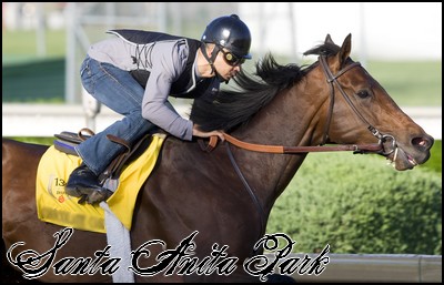 //santa-anita.gportal.hu/portal/santa-anita/image/gallery/1246903648_45.jpg