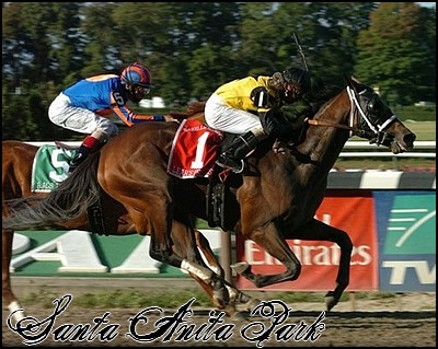 //santa-anita.gportal.hu/portal/santa-anita/image/gallery/1246915138_27.jpg