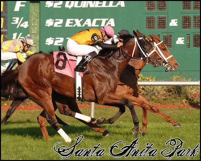 //santa-anita.gportal.hu/portal/santa-anita/image/gallery/1246915144_57.jpg