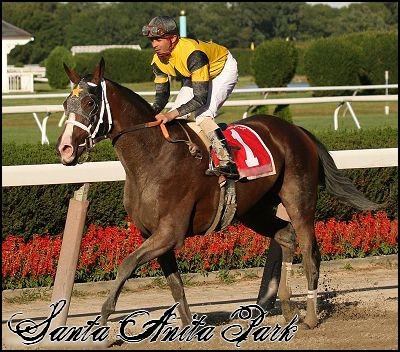 //santa-anita.gportal.hu/portal/santa-anita/image/gallery/1246915175_94.jpg