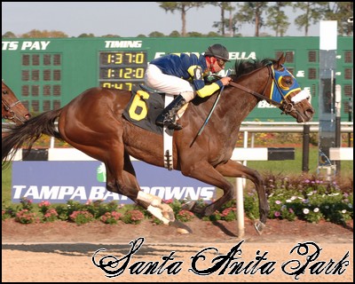 //santa-anita.gportal.hu/portal/santa-anita/image/gallery/1246915182_58.jpg