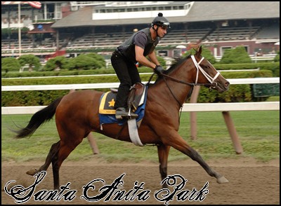 //santa-anita.gportal.hu/portal/santa-anita/image/gallery/1246915186_18.jpg