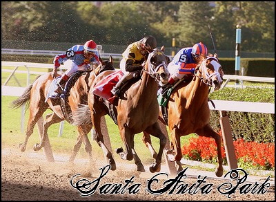 //santa-anita.gportal.hu/portal/santa-anita/image/gallery/1246915197_25.jpg