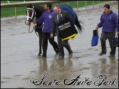 //santa-anita.gportal.hu/portal/santa-anita/image/gallery/1246915212_83.jpg