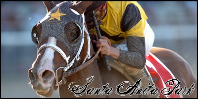 //santa-anita.gportal.hu/portal/santa-anita/image/gallery/1246915221_98.jpg