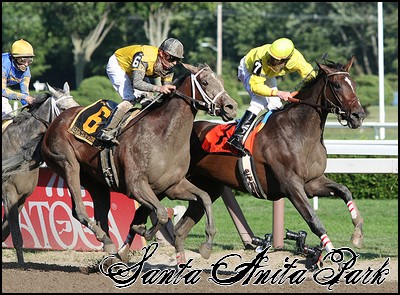 //santa-anita.gportal.hu/portal/santa-anita/image/gallery/1246915518_00.jpg