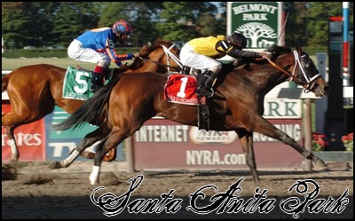 //santa-anita.gportal.hu/portal/santa-anita/image/gallery/1246915522_31.jpg