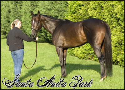 //santa-anita.gportal.hu/portal/santa-anita/image/gallery/1246920830_44.jpg