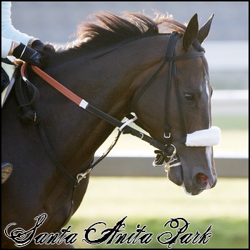 //santa-anita.gportal.hu/portal/santa-anita/image/gallery/1246920842_98.jpg