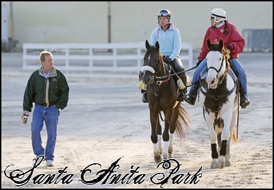 //santa-anita.gportal.hu/portal/santa-anita/image/gallery/1246920862_03.jpg