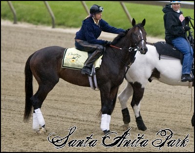 //santa-anita.gportal.hu/portal/santa-anita/image/gallery/1246920867_81.jpg