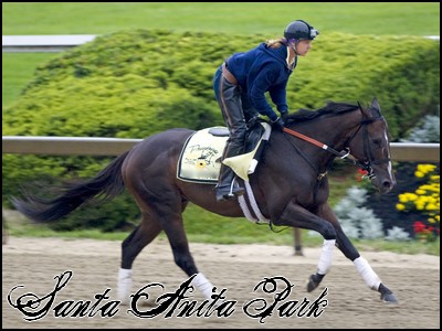 //santa-anita.gportal.hu/portal/santa-anita/image/gallery/1246920893_58.jpg