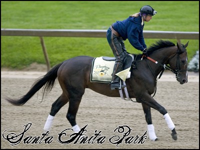 //santa-anita.gportal.hu/portal/santa-anita/image/gallery/1246920904_02.jpg